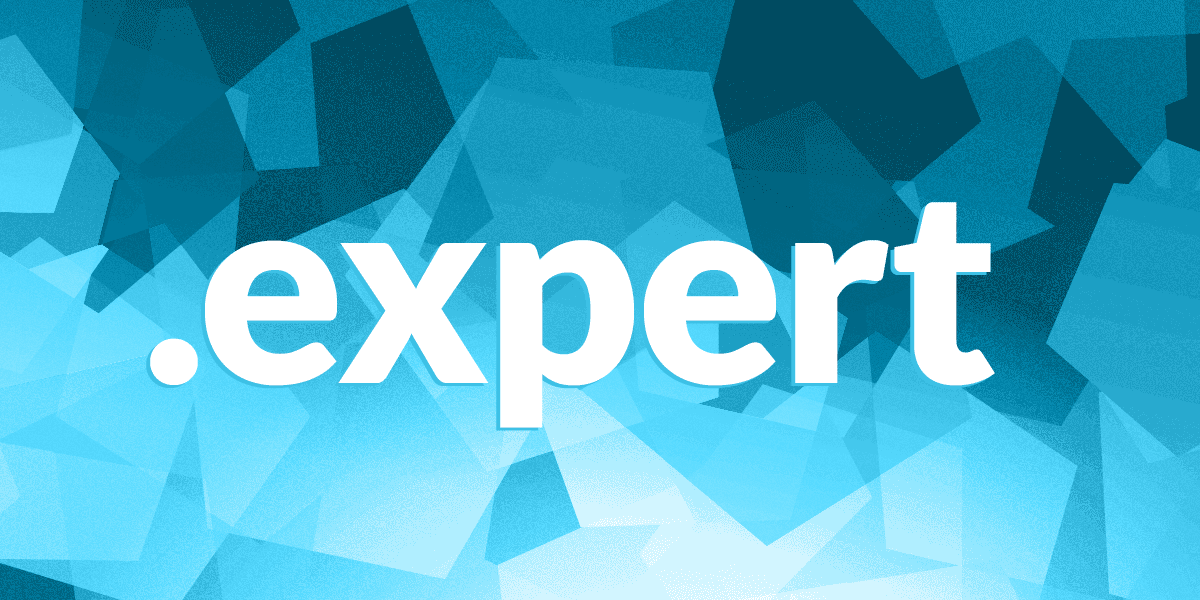 Expert domain bulk registration and management services